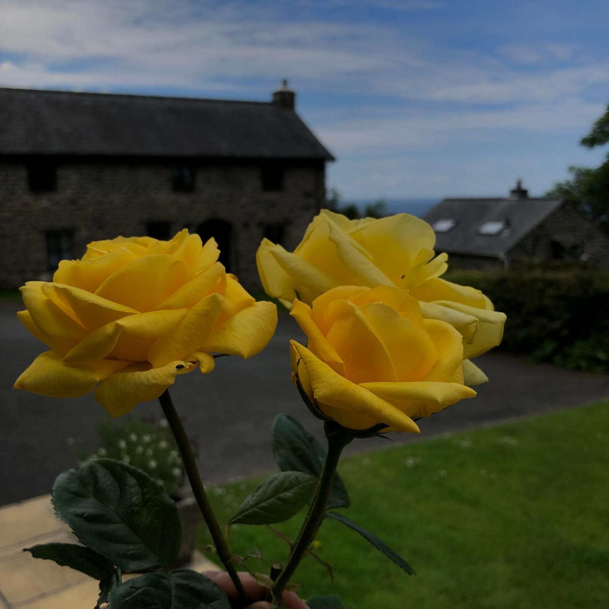The Old Farmhouse B&B Dyffryn Ardudwy Екстериор снимка