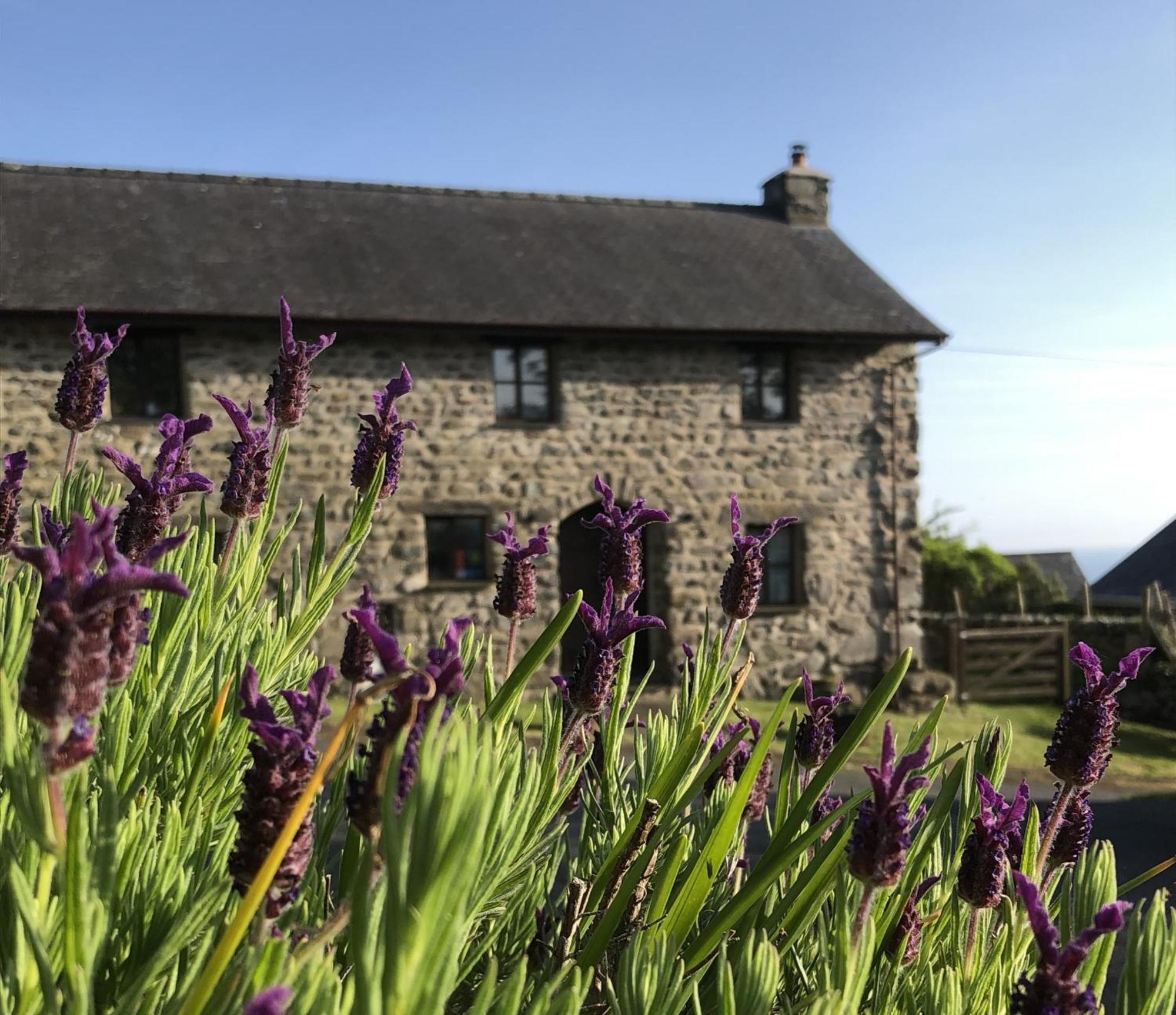 The Old Farmhouse B&B Dyffryn Ardudwy Екстериор снимка